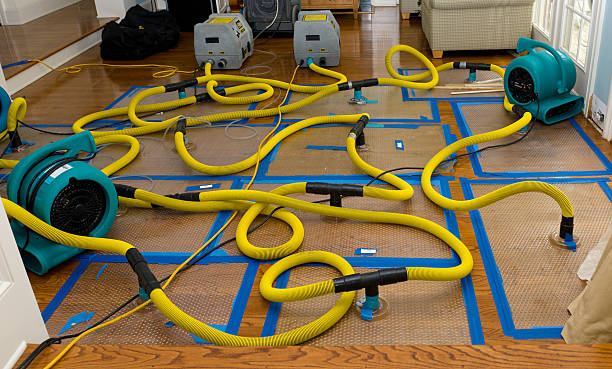 Professional Basement Flood Cleanup technician working in Fall Branch, TN